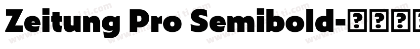 Zeitung Pro Semibold字体转换